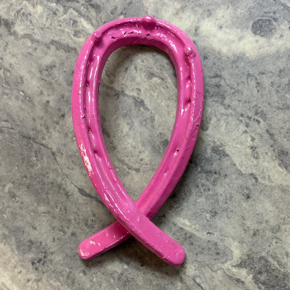 Pink Ribbon-Shaped horseshoe